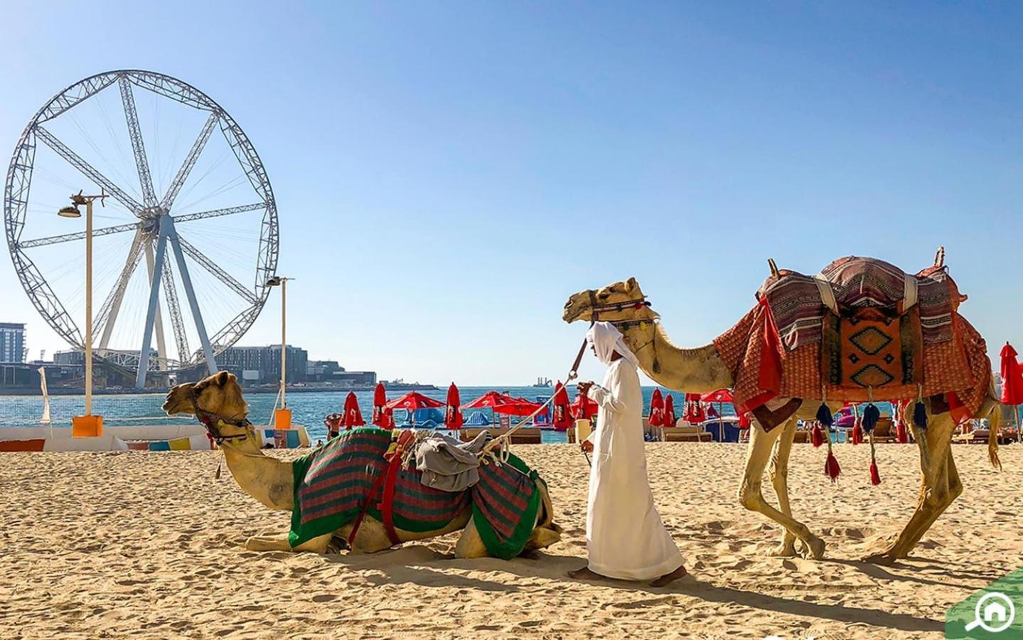 Murjan Jbr Apartments By Happy Season Dubai Exteriör bild